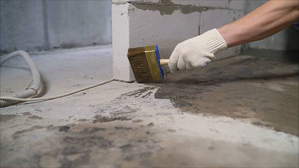 24/7 Emergency Wet Basement Repair experts in Indian Mound, TN